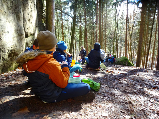 Kinder sitzen im Wald auf Baumstämmen und hören zu.