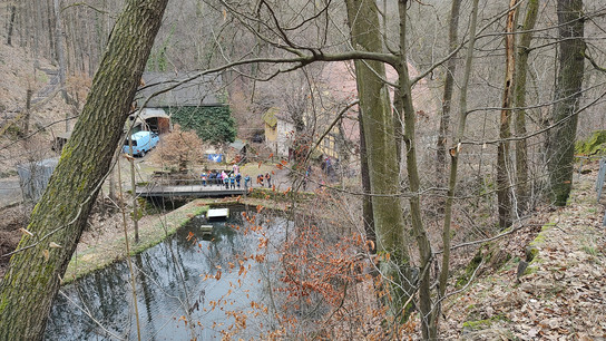 Suchen und Finden im Keppgrund Ein Waldgebiet mit einem Teich und einer Brücke, auf der Menschen stehen.